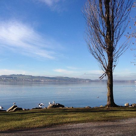 Hotel Birdlodge Sempach Eksteriør bilde