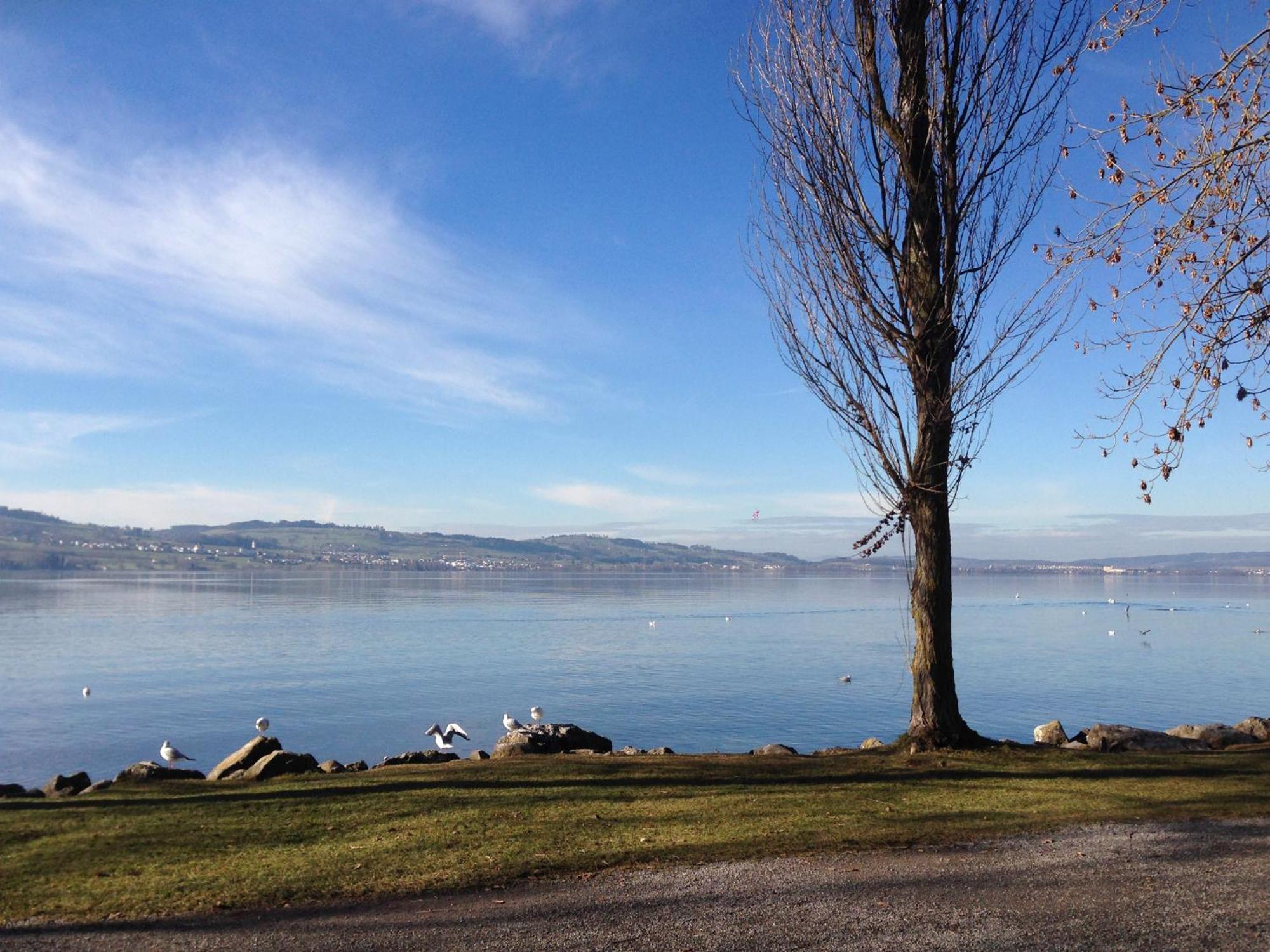 Hotel Birdlodge Sempach Eksteriør bilde